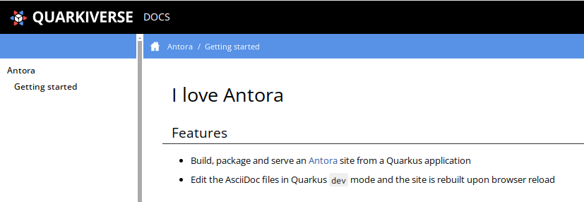 optional attribute